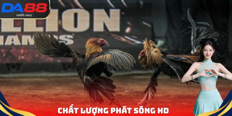 Chất lượng phát sóng các trận đấu Full HD sắc nét