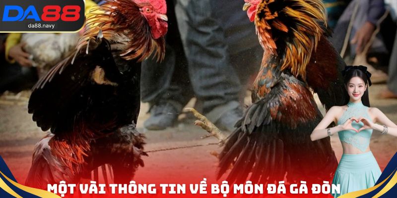 Một vài thông tin cơ bản cần nắm được về bộ môn đá gà đòn